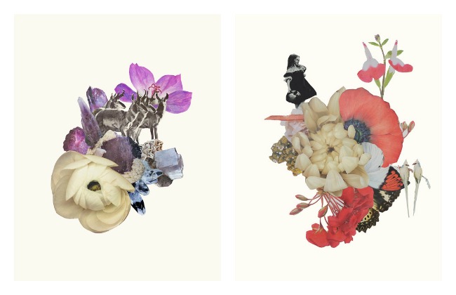 Clare Celeste Börsch's Whimsical Floral Collage Lola Who
